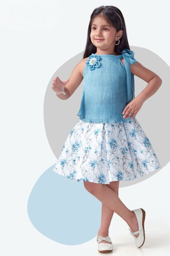 Blue Blossom Organza Skirt Top Set