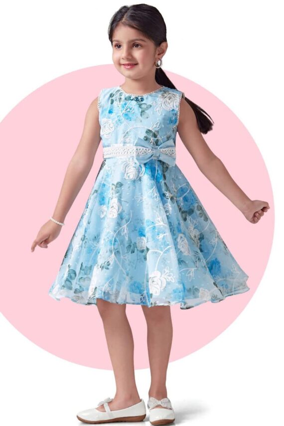 Blue Floral Frock